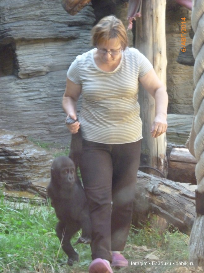 Московский зоопарк или мое большое путешествие