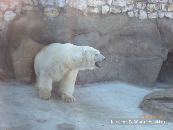 Московский зоопарк или мое большое путешествие