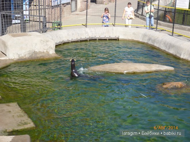 Московский зоопарк или мое большое путешествие