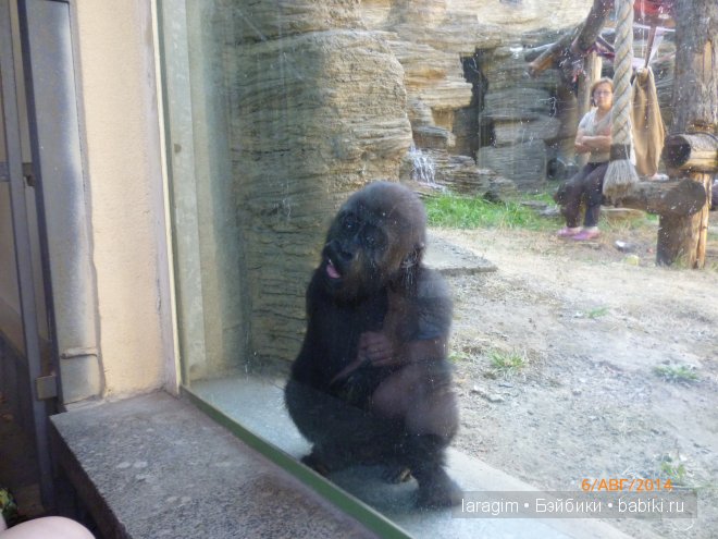 Московский зоопарк или мое большое путешествие