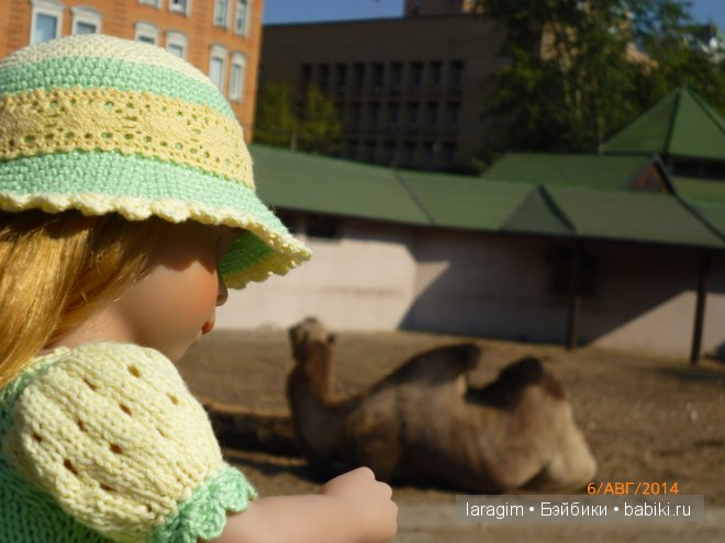 Московский зоопарк или мое большое путешествие (фото 8)