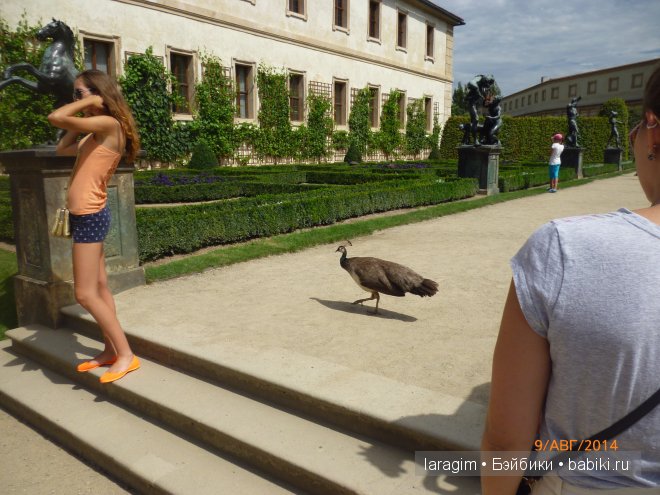 Из Праги, с любовью или мое большое путешествие