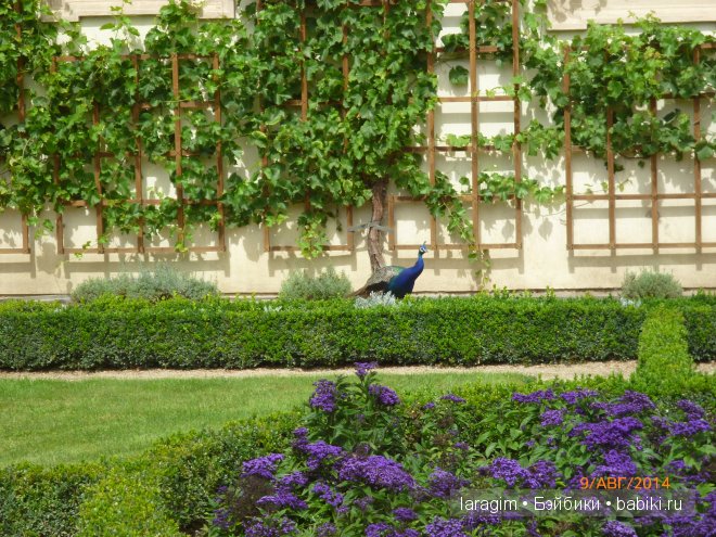 Из Праги, с любовью или мое большое путешествие