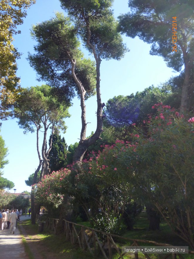 Помпеи, Италия или мое большое путешествие (фото 4)