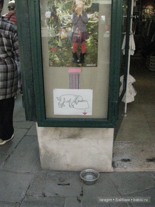 Буона маттина, Венеция или мое большое путешествие