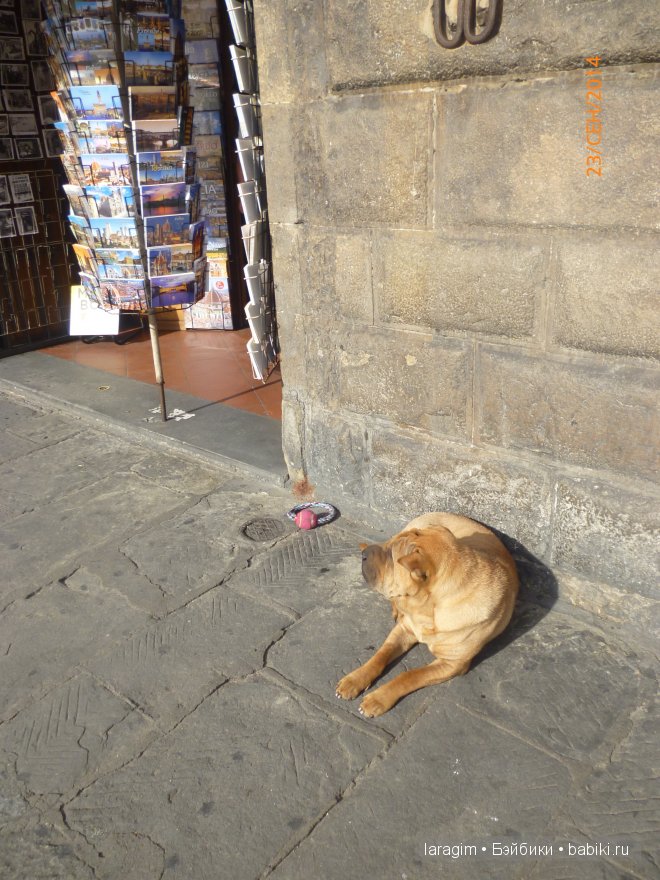 Буон джорно, Флоренция или мое большое путешествие