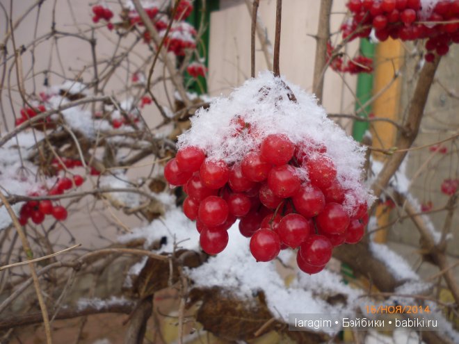 "Валенки, валенки, не подшиты, но не стареньки..." или одежда и обувь для Minouche, Вихтель и Zwergnase | Бэйбики "Валенки, валенки, не подшиты, но не стареньки..." или одежда и обувь для Minouche, Вихтель и Zwergnase