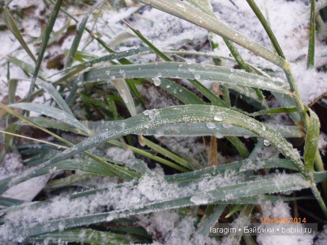 "Валенки, валенки, не подшиты, но не стареньки..." или одежда и обувь для Minouche, Вихтель и Zwergnase | Бэйбики "Валенки, валенки, не подшиты, но не стареньки..." или одежда и обувь для Minouche, Вихтель и Zwergnase