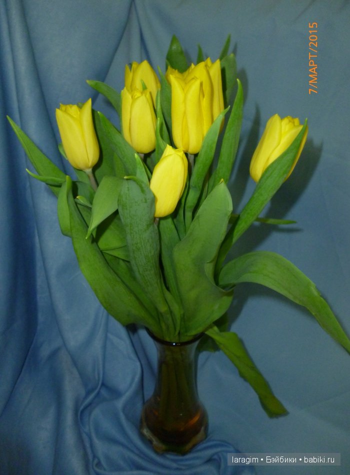 "Голубые розы", 8 Марта или ...одежда для Wichtel от Rosemarie Müller своими руками