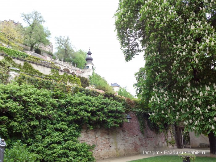 Все в сад! или мое большое путешествие