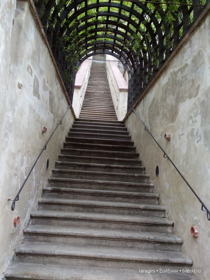 Все в сад! или мое большое путешествие