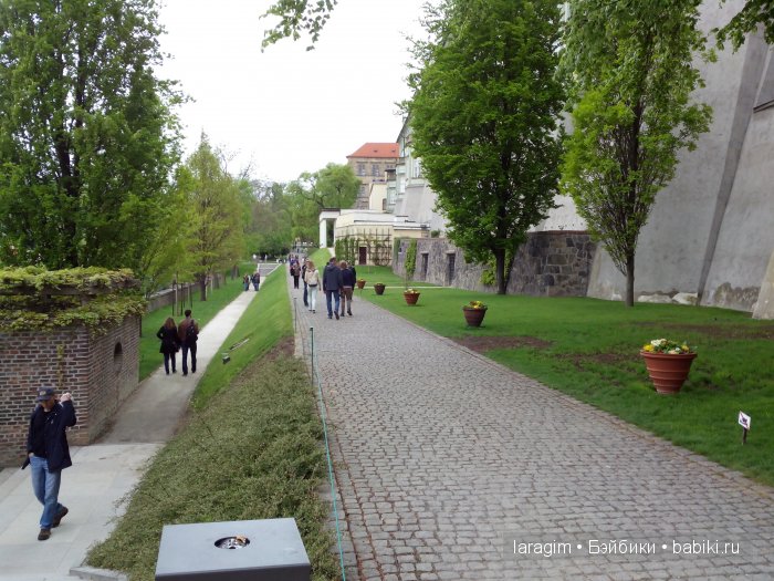 Все в сад! или мое большое путешествие