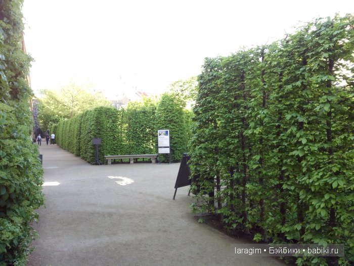 Все в сад! или мое большое путешествие (фото 3)