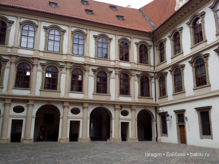 Все в сад! или мое большое путешествие