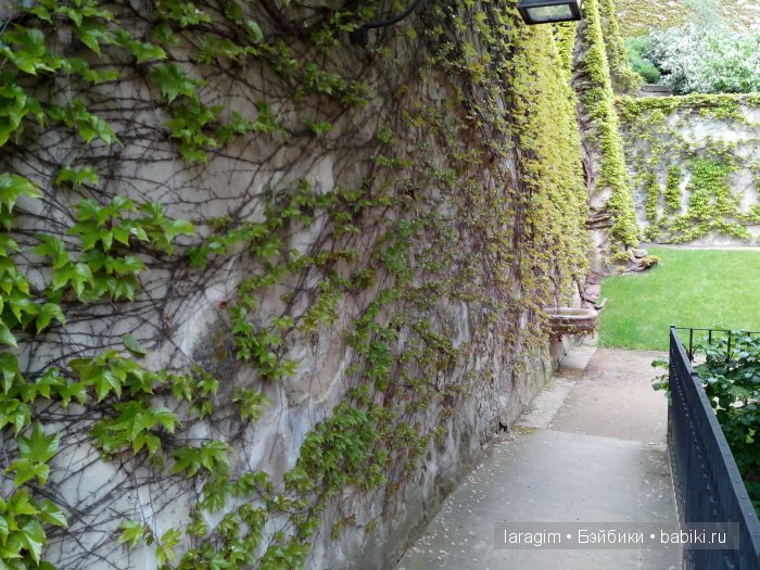 Все в сад! или мое большое путешествие