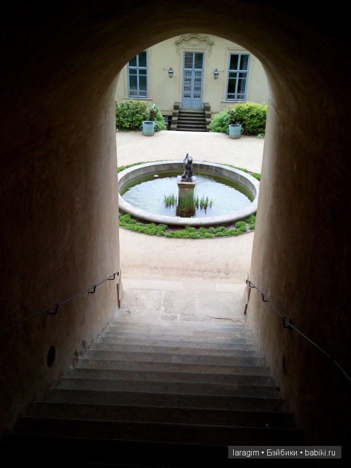 Все в сад! или мое большое путешествие