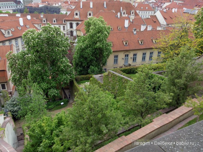Все в сад! или мое большое путешествие