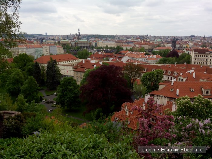 Все в сад! или мое большое путешествие