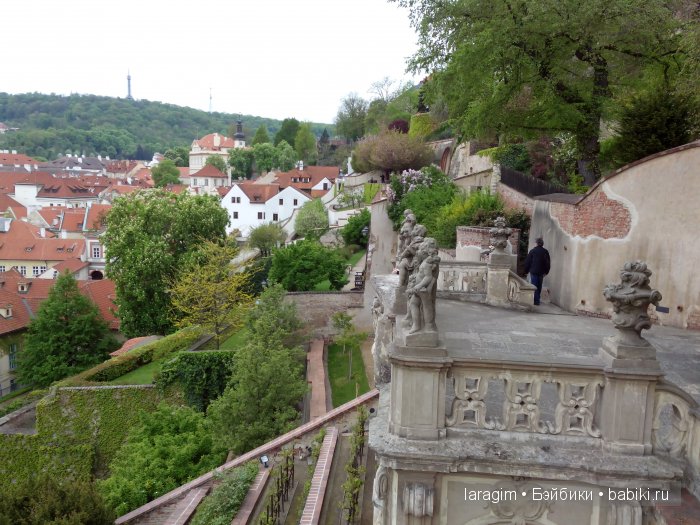 Все в сад! или мое большое путешествие