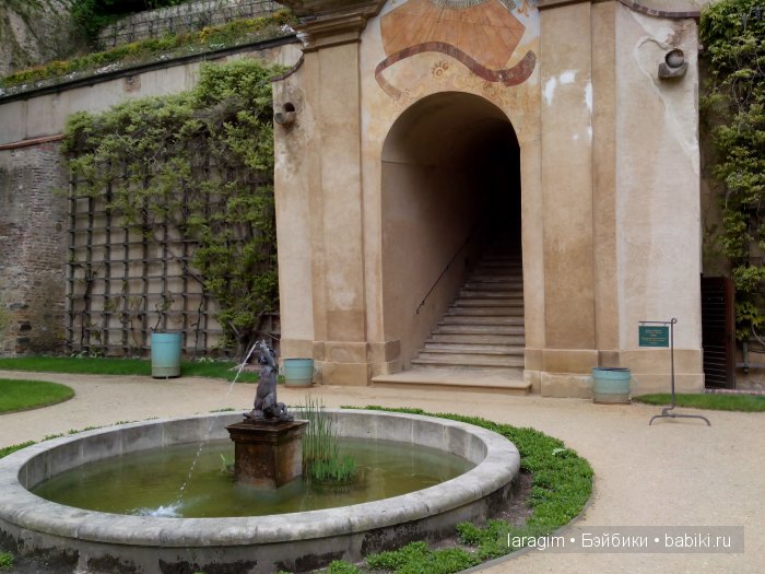 Все в сад! или мое большое путешествие