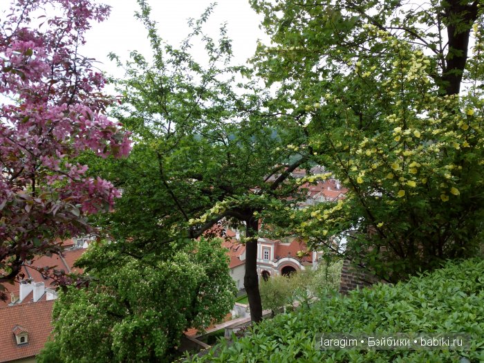 Все в сад! или мое большое путешествие