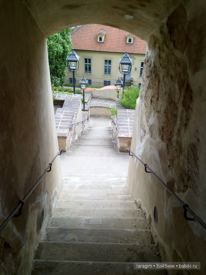 Все в сад! или мое большое путешествие