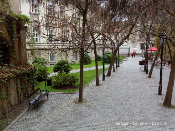 Все в сад! или мое большое путешествие