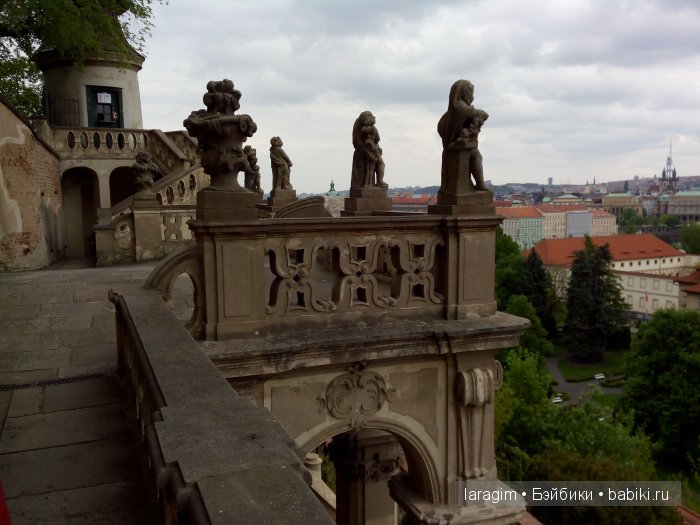 Все в сад! или мое большое путешествие