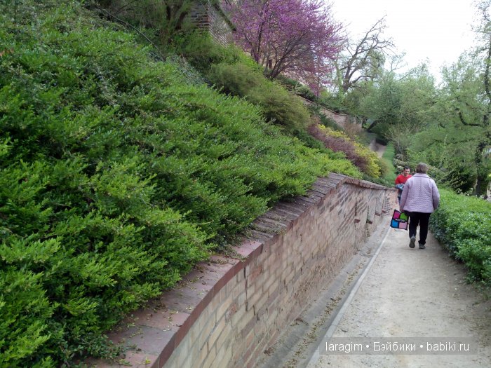 Все в сад! или мое большое путешествие