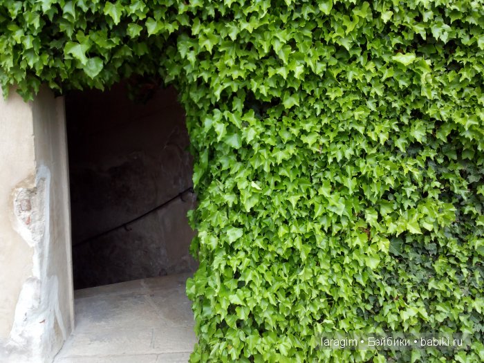 Все в сад! или мое большое путешествие