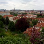 Все в сад! или мое большое путешествие