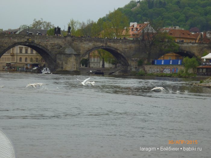 Еврейский город, Влтава и Все в сад ... или мое большое путешествие