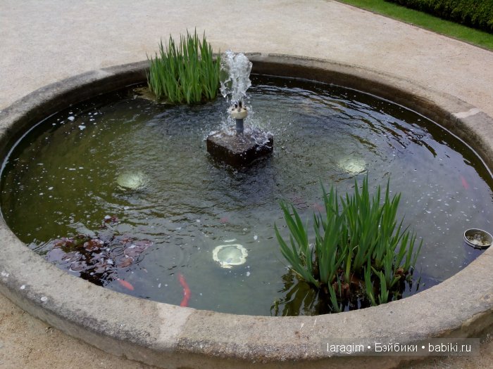 Еврейский город, Влтава и Все в сад ... или мое большое путешествие