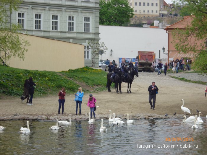 Еврейский город, Влтава и Все в сад ... или мое большое путешествие