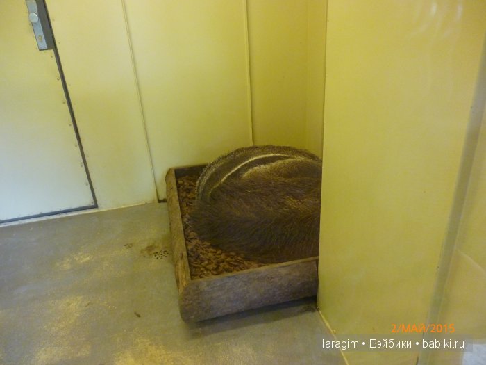 Пражский зоопарк ... или мое большое путешествие