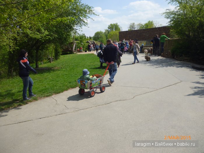 Пражский зоопарк ... или мое большое путешествие