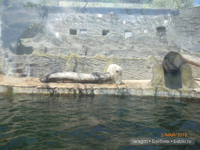 Пражский зоопарк ... или мое большое путешествие