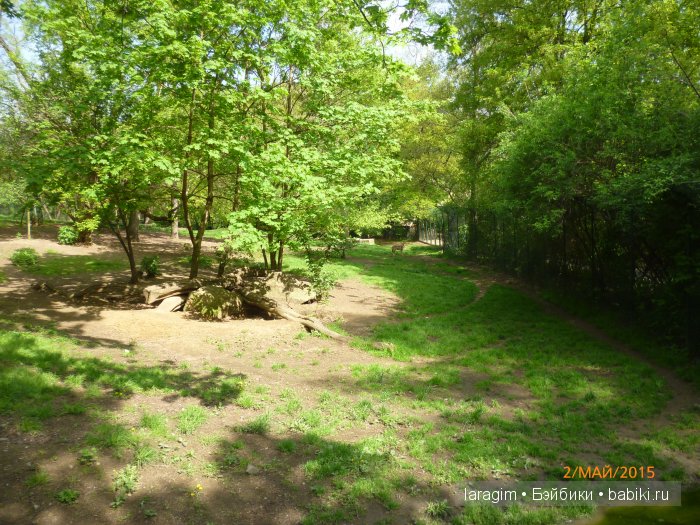 Пражский зоопарк ... или мое большое путешествие