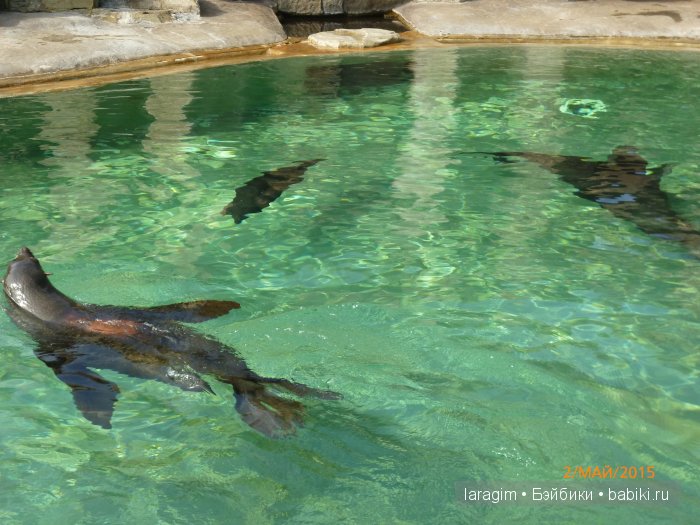 Пражский зоопарк ... или мое большое путешествие (фото 2)