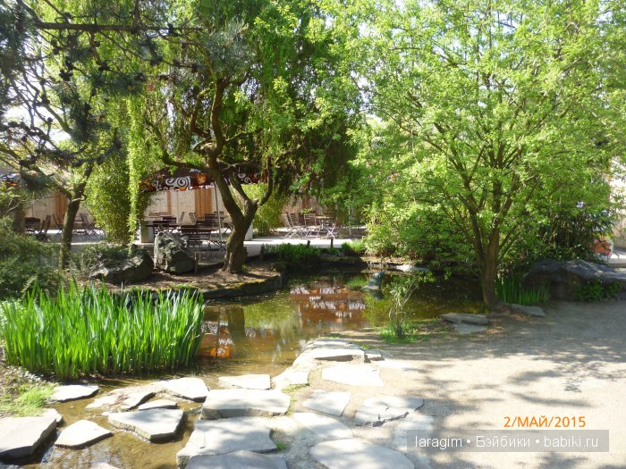 Пражский зоопарк ... или мое большое путешествие (фото 9)