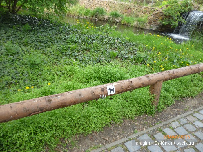 Пражский зоопарк ... или мое большое путешествие