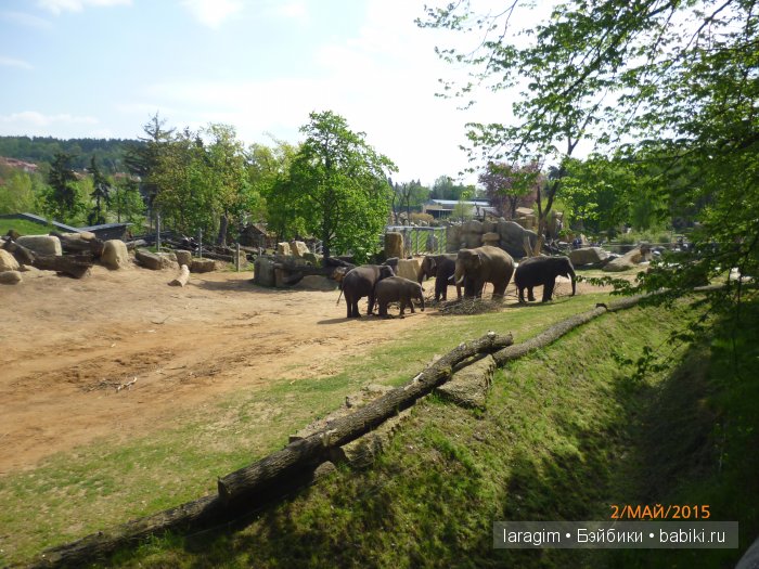 Пражский зоопарк ... или мое большое путешествие