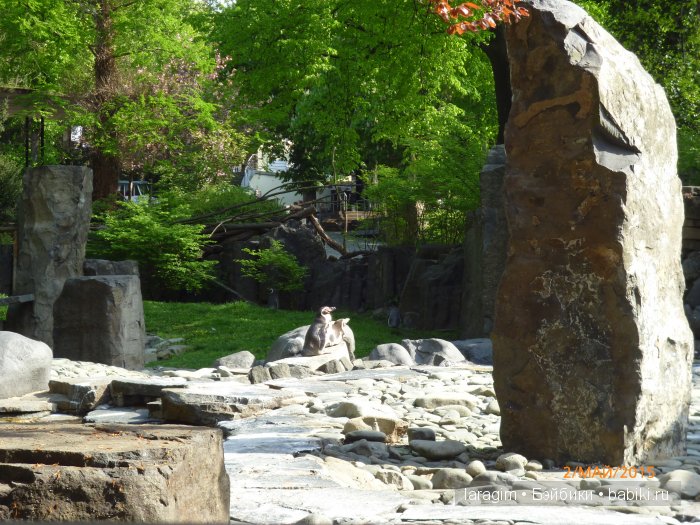 Пражский зоопарк ... или мое большое путешествие (фото 5)