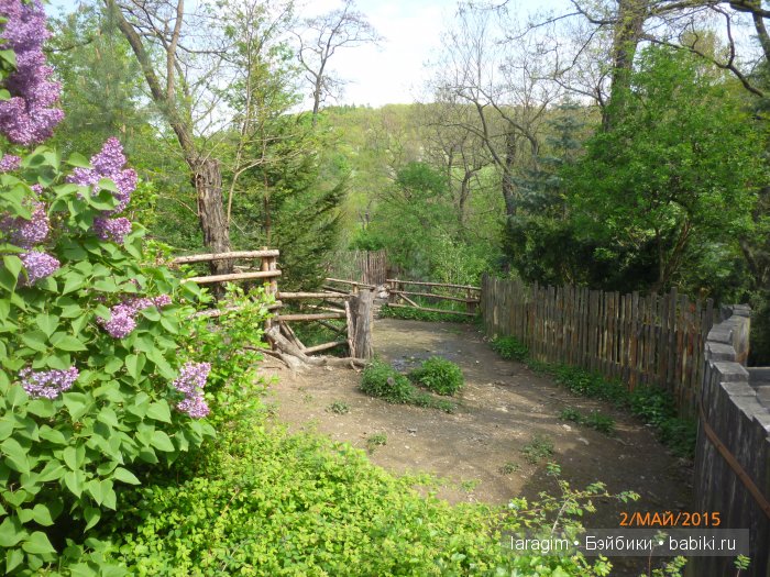 Пражский зоопарк ... или мое большое путешествие