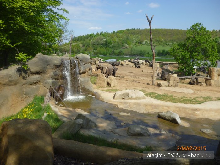 Пражский зоопарк ... или мое большое путешествие