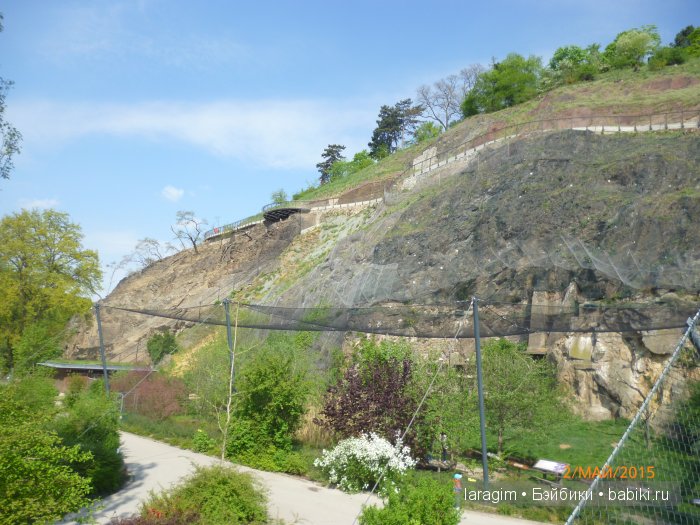 Пражский зоопарк ... или мое большое путешествие (фото 10)