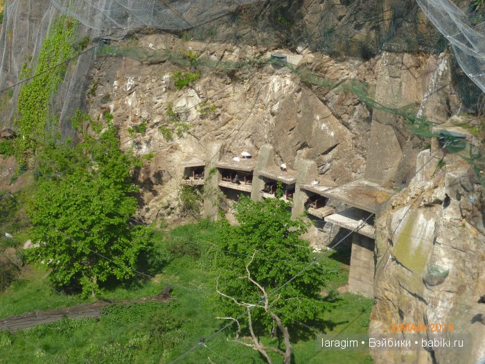 Пражский зоопарк ... или мое большое путешествие