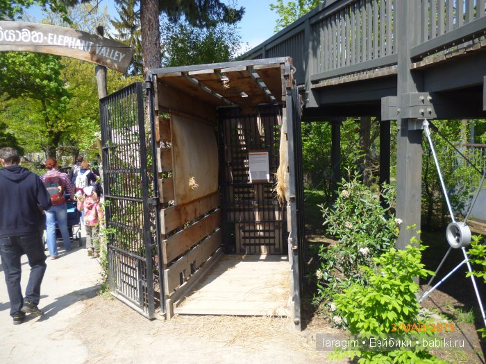 Пражский зоопарк ... или мое большое путешествие