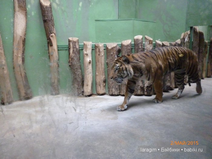 Пражский зоопарк ... или мое большое путешествие