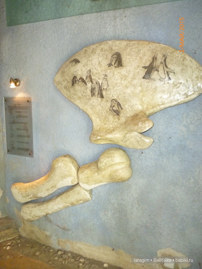 Пражский зоопарк ... или мое большое путешествие (фото 3)